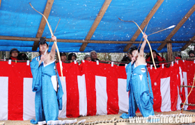 ������ţ���