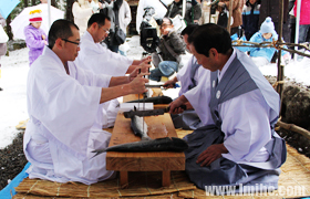 ������ţ���