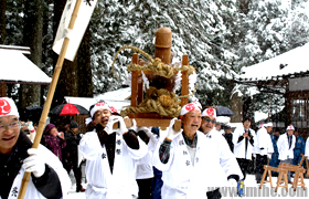 ������ţ���