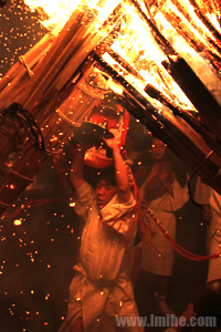 �ձ�ʨ���裨���^���£�