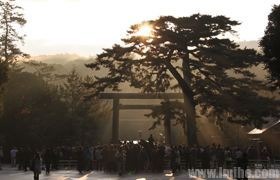 �����񹬵Ķ�����