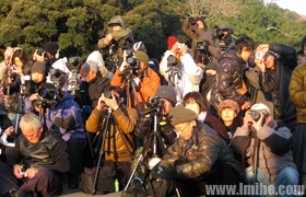 �����񹬵Ķ�����