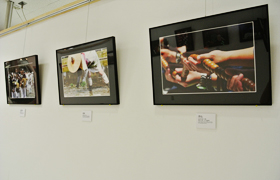 �����C�ʐ^�W