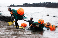 �u�C����^�v�����C�ʐ^��i�i�\��j