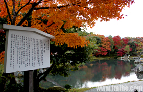 ���������ڵĲ�Դ��