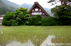 ᪸��صİ״���