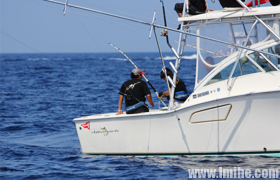 �����к������������