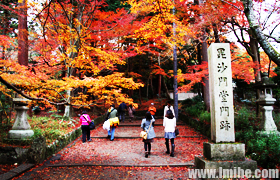 ������ɳ����