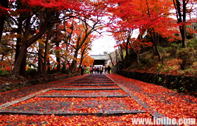 ������ɳ������ʹ��