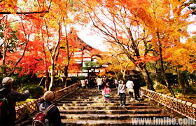 �����Ļ��Ų�������