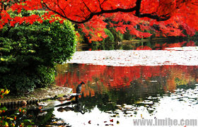 �����¾��ݳ�