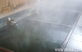 ��Ұ��Ұ����Ȫ