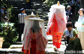 �����Ų���Ұ�ŵ�