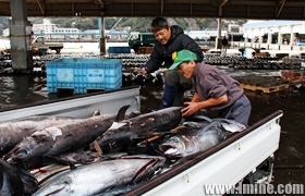 �ձ�ʤ�����