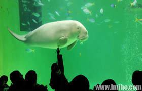 ����ˮ���